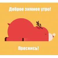 Доброе зимнее утро! Проснись!