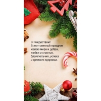 С Рождеством! В этот светлый праздник желаю мира и добра