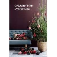 С РОЖДЕСТВОМ! СЧАТЬЯ ТЕБЕ!