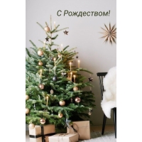 С РОЖДЕСТВОМ!