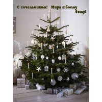 С сочельником! Мира твоему дому!