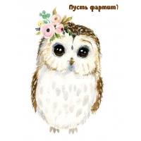 Пусть фартит)