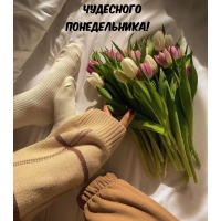 Чудесного понедельника!