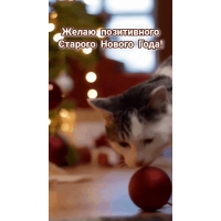Желаю позитивного Старого Нового Года!