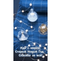 Иди с миром, Старый Новый Год.