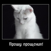 Прошу прощения!
