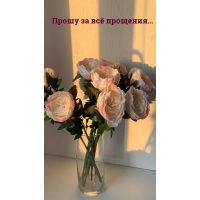 Прошу за всё прощения…