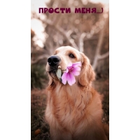 Прости меня…)