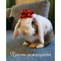 Прости пожалуйста