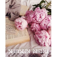 Извини меня