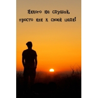 Никого не слушай, просто иди к своей цели!