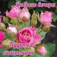 Доброго вечера Будьте счастливы