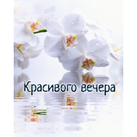 Красивого вечера