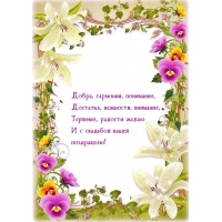 Терпения, радости желаю и с свадьбой вашей поздравляю!