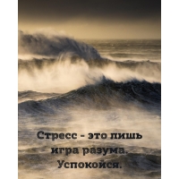 Стресс — это лишь игра разума. Успокойся.