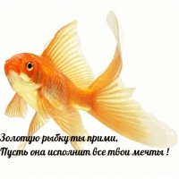 Золотую рыбку ты прими, Пусть она исполнит все твои мечты!