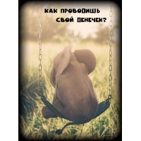 Как проводишь свой денечек?