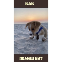 Как делишки?