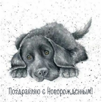 Поздравляю с Новорожденным!