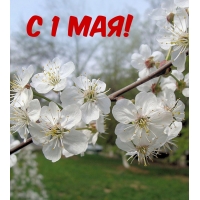 С 1 мая!