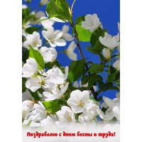 Поздравляю с днем весны и труда!