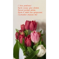 С днём рождения! Пусть солнце ярко светит