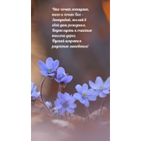 Пускай искрятся радостью мгновенья!