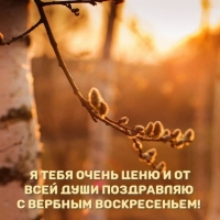 Я тебя очень ценю и от всей души с Вербным воскресеньем!