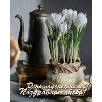 День подснежников! Поздравляю тебя!