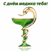 С днём медика тебя!