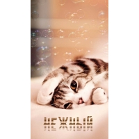Нежный
