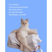 Так и быть, соизволю выслушать как твои дела!