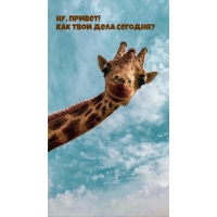 Ну, привет! Как твои дела сегодня?