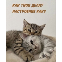 Как твои дела? Настроение как?