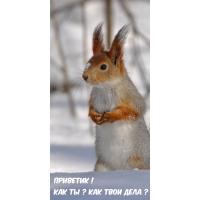 Приветик! Как ты ? Как твои дела ?