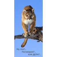 Ну, что?… Поговорим?… КАК ДЕЛА?…