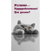 Мууррррр…. Пррррривееетиик! Как делааа?