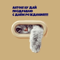 Антон! Ну дай Поздравлю С днём рождения!
