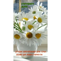 С днем Семьи. Желаю Вам любви и верности!