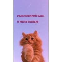Разблокируй сам, У меня лапки!