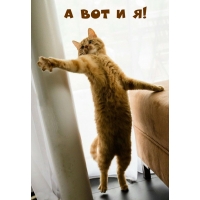 А вот и я!