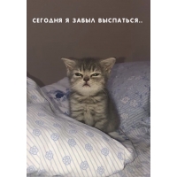 Сегодня я забыл выспаться..