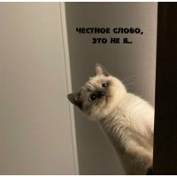 Честное слово, это не я..