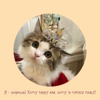Я — король! Хочу икру ем, хочу в тапки гажу!