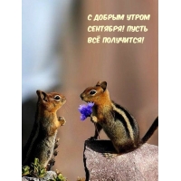С добрым утром сентября! Пусть всё получится!