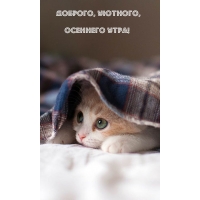 Доброго, уютного, осеннего утра!
