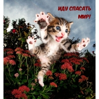 Иду спасать Мир!