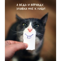 А ведь и вправду, улыбка мне к лицу!