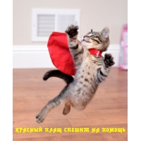 КРАСНЫЙ ПЛАЩ СПЕШИТ НА ПОМОЩЬ