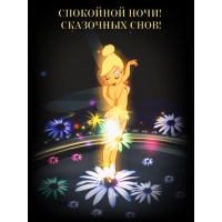 Спокойной ночи! Сказочных снов!